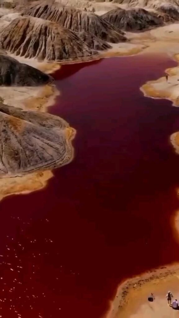 Keajaiban Alam Tersembunyi di Danau Natron, Tanzania yang Semakin Menarik Perhatian Wisatawan Dunia