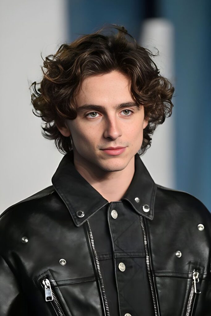 Perjalanan Karier Timothée Chalamet, siapakah dia?